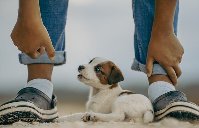 Remembering the First Family Pet’s Arrival at Home